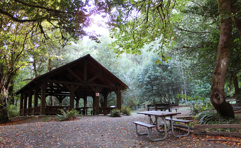 Eagleview Group Campground（俄勒冈州）