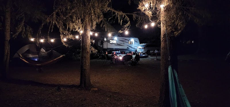 Gone Creek Campground (Timothy Lake, OR)