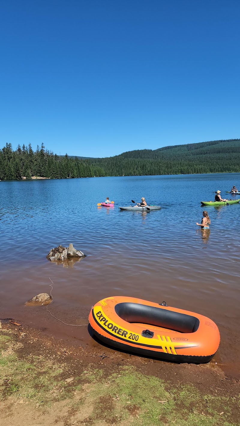 Pine Point Campground (Timothy Lake, OR)（俄勒冈州）