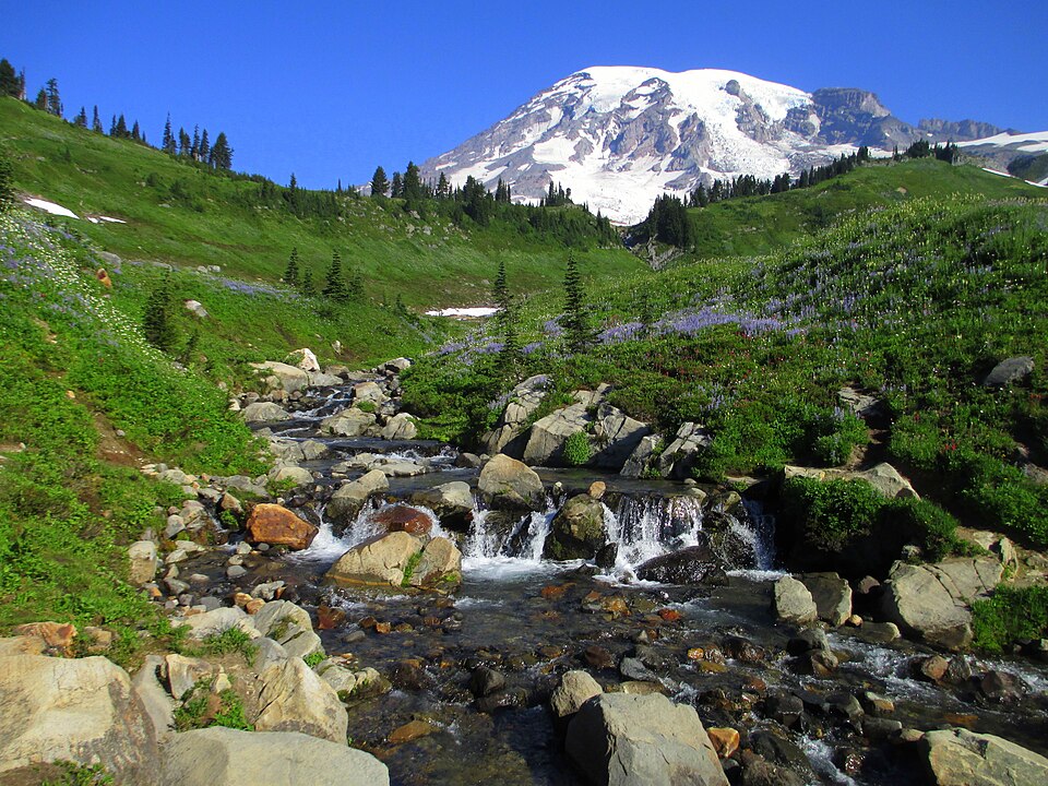 COUGAR ROCK CAMPGROUND