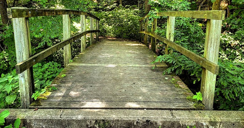 TIONESTA REC. AREA CAMPGROUND