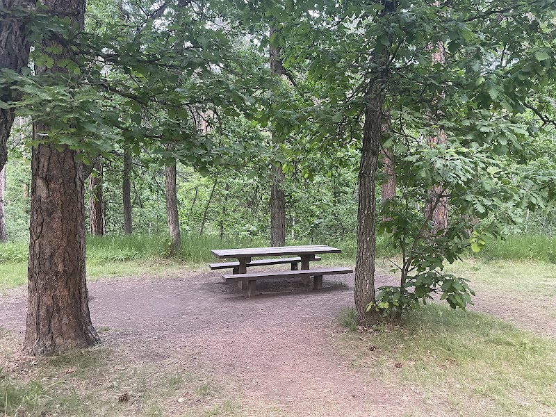 Grizzly Bear Campground