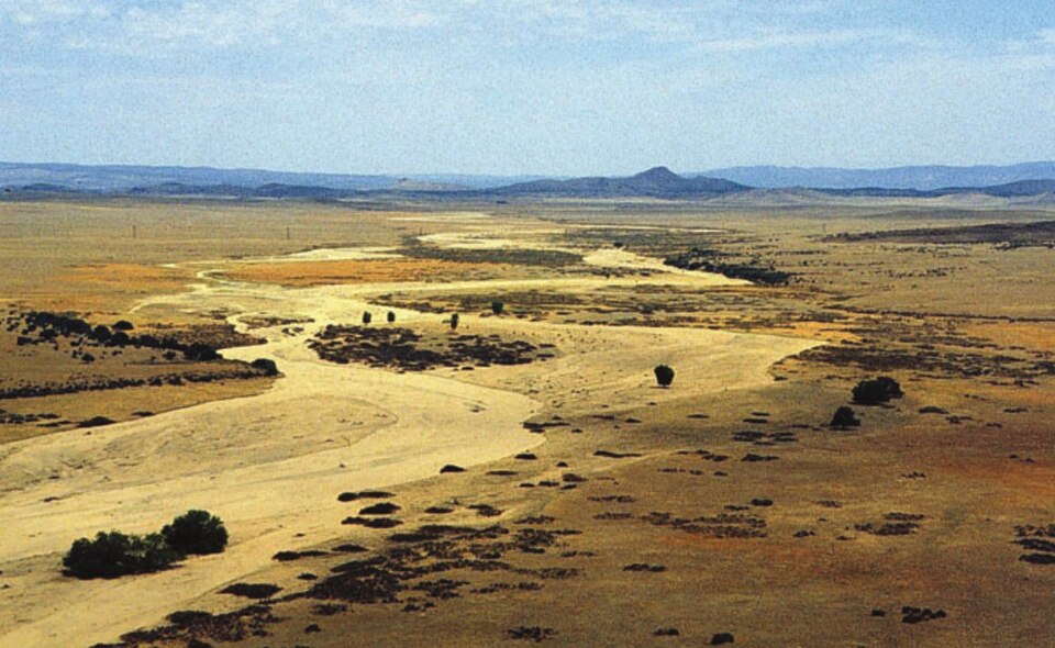 WHITE SPAR CAMPGROUND（亚利桑那州）