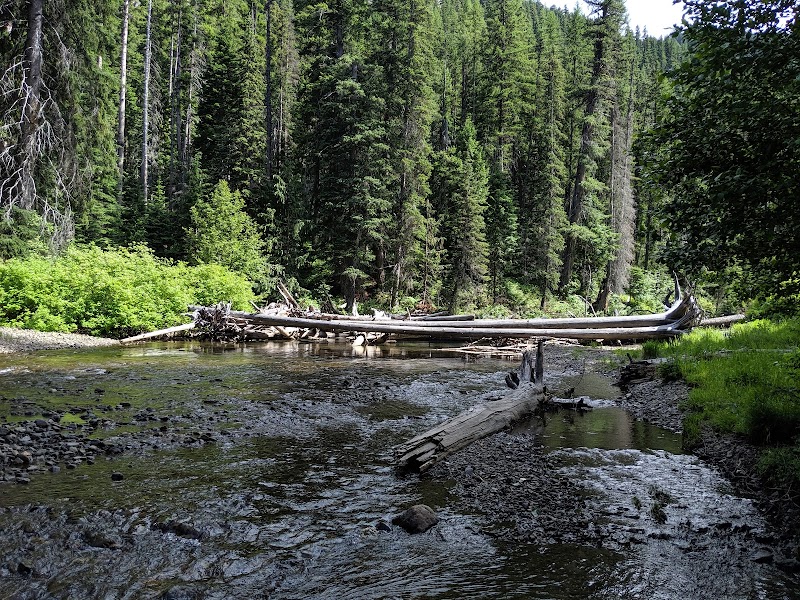 SALMON COVE GROUP SITE（华盛顿州）