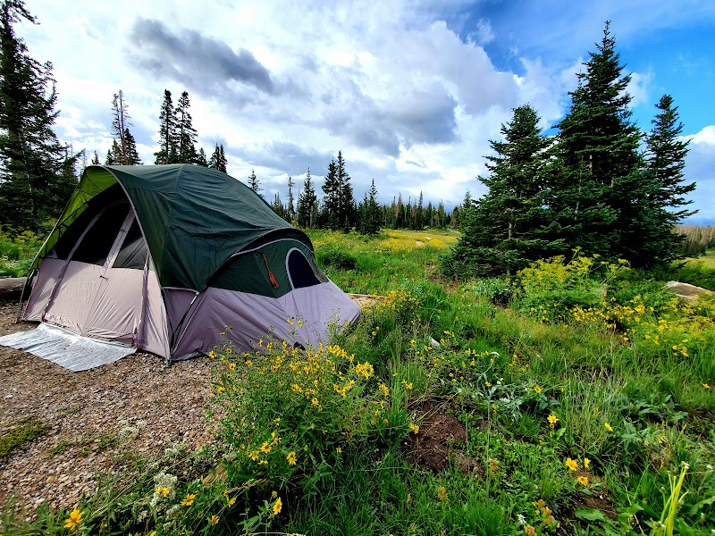 POINT SUPREME CAMPGROUND（犹他州）