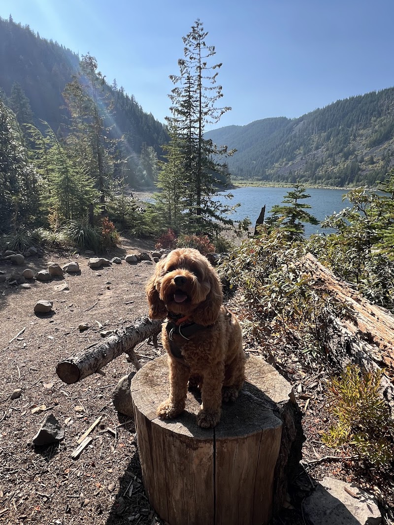 Kinnikinnick (Laurance Lake) Campground（俄勒冈州）