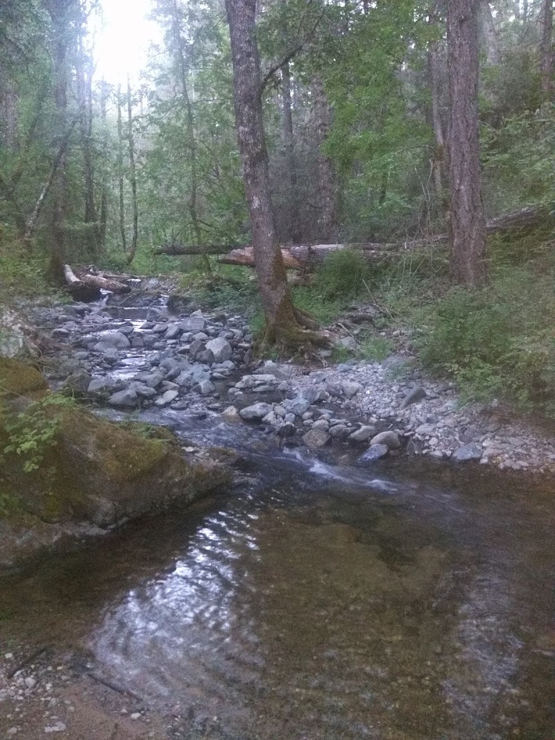 Beaver Sulphur Group Campground（俄勒冈州）