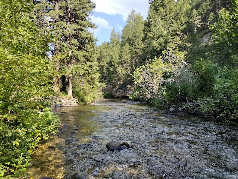 Racetrack Campground (MT)
