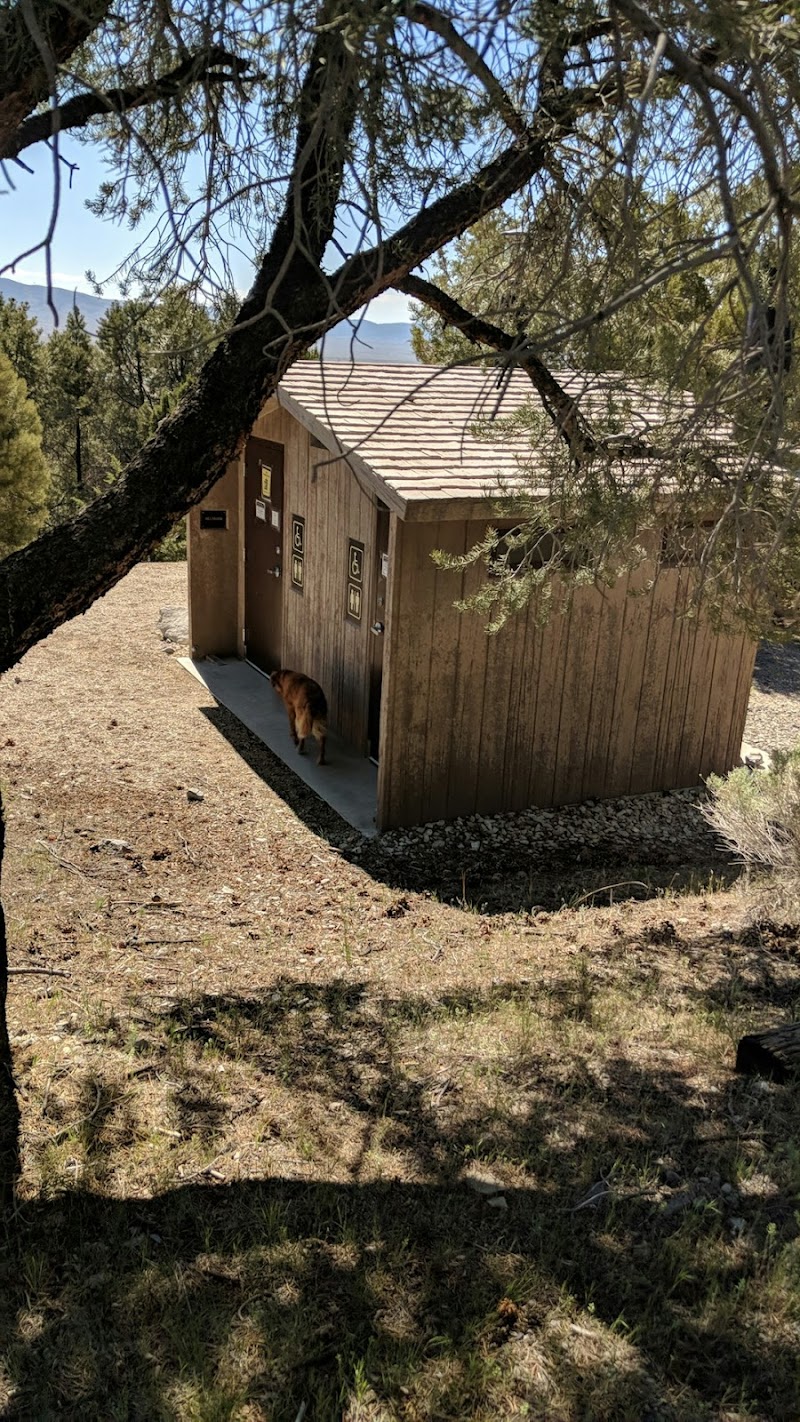 SOUTH RUBY CAMPGROUND（内华达州）