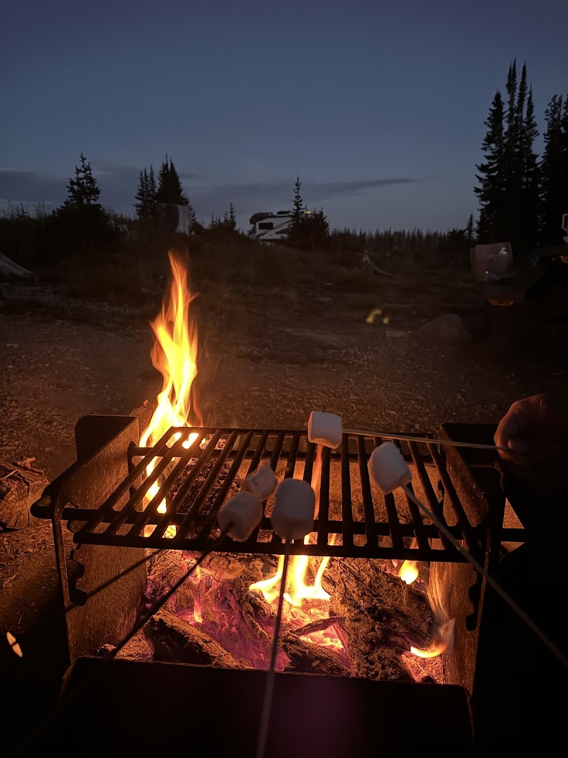 Brooklyn Lake Campground（怀俄明州）