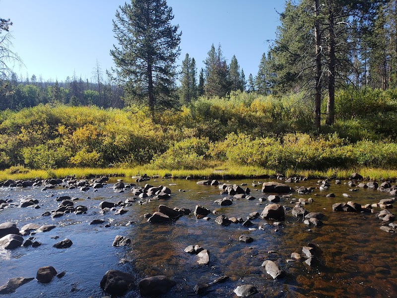 Hayden Fork Campground（犹他州）