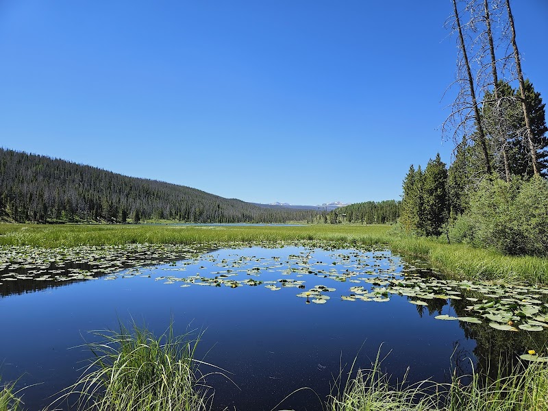 BRIDGER LAKE CAMPGROUND（犹他州）