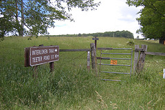 Blueberry Patch Campground