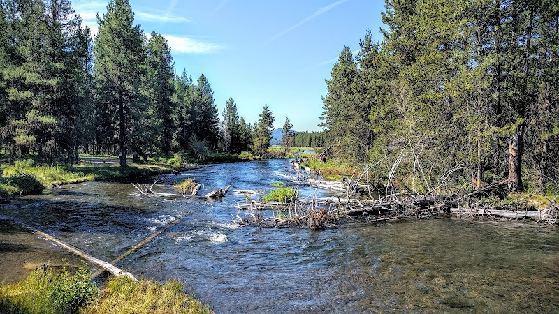 COW MEADOW CAMPGROUND（俄勒冈州）