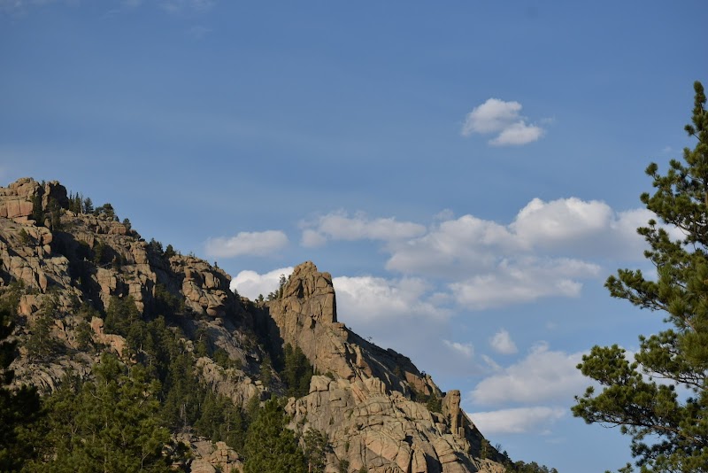 Curtis Gulch Campground（怀俄明州）