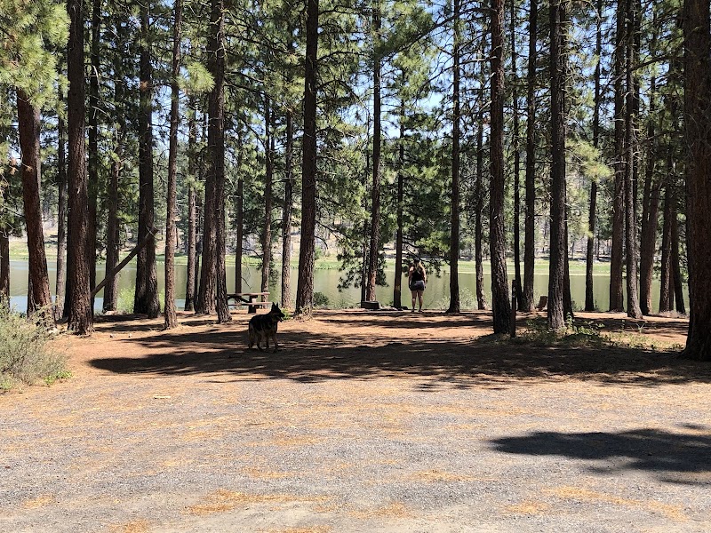 Dog Lake Campground（俄勒冈州）
