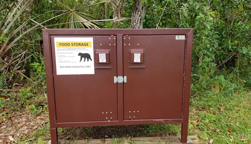 Gator Head Campground（佛罗里达州）