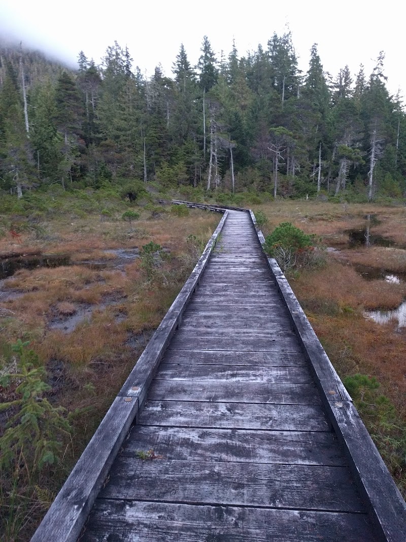 HARRIS RIVER CAMPGROUND（阿拉斯加州）