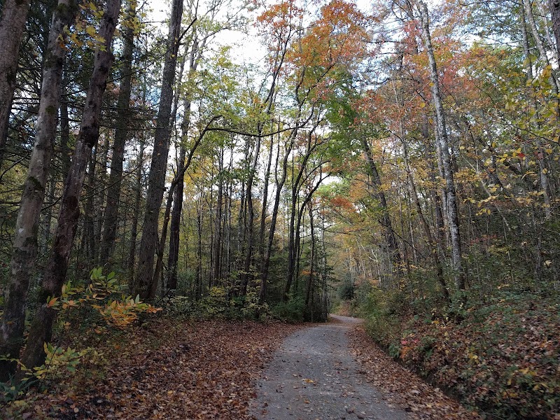 Holly Flats Campground