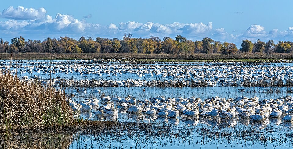Letts Lake Campground（加利福尼亚州）