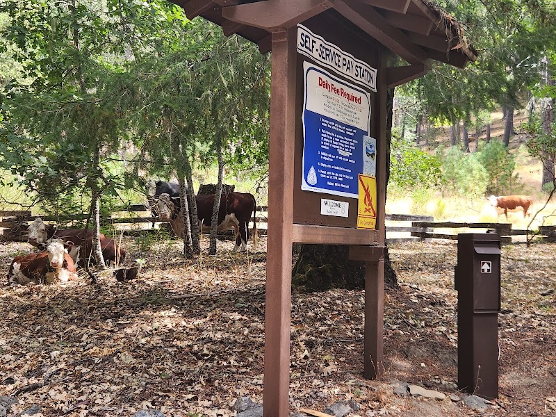 MAD RIVER CAMPGROUND（加利福尼亚州）