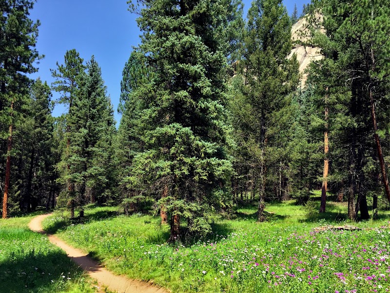 MEADOWS GROUP CAMPGROUND（科罗拉多州）