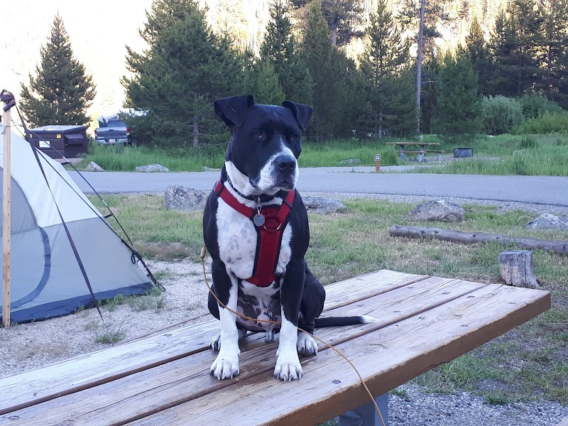 Mormon Bend Campground
