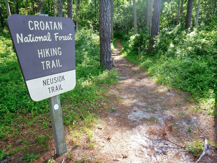 OYSTER POINT CAMPGROUND（北卡罗来纳州）