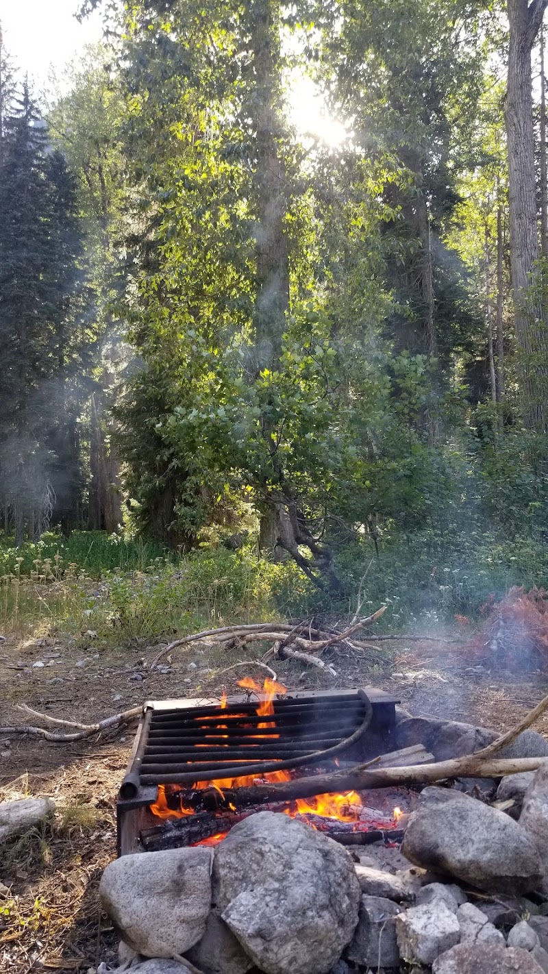 Phelps Creek Campground