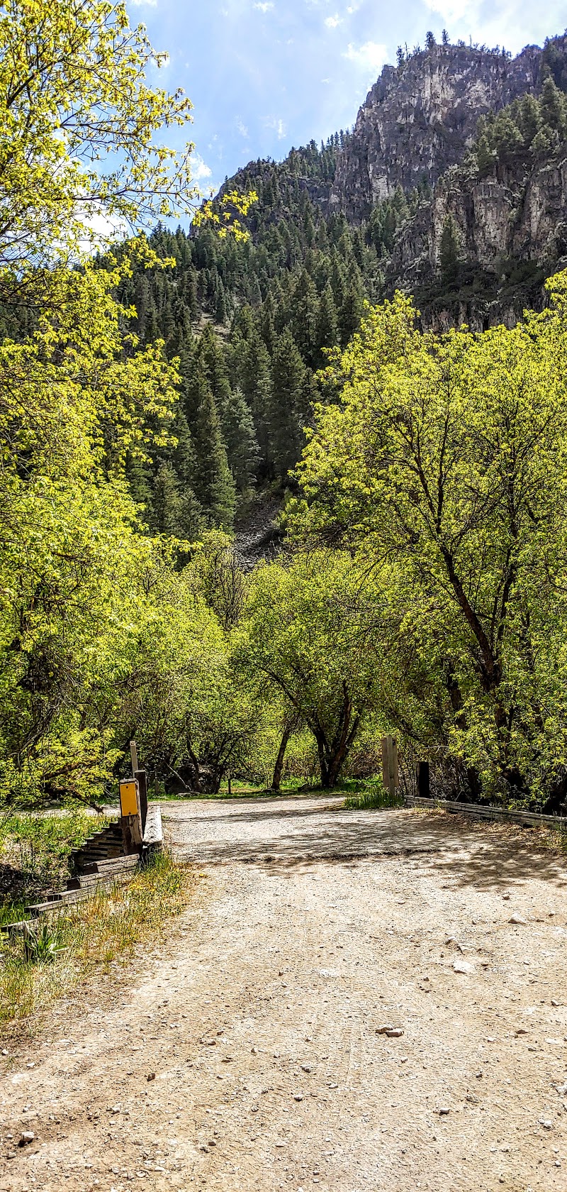 Spring Campground (UT)（犹他州）