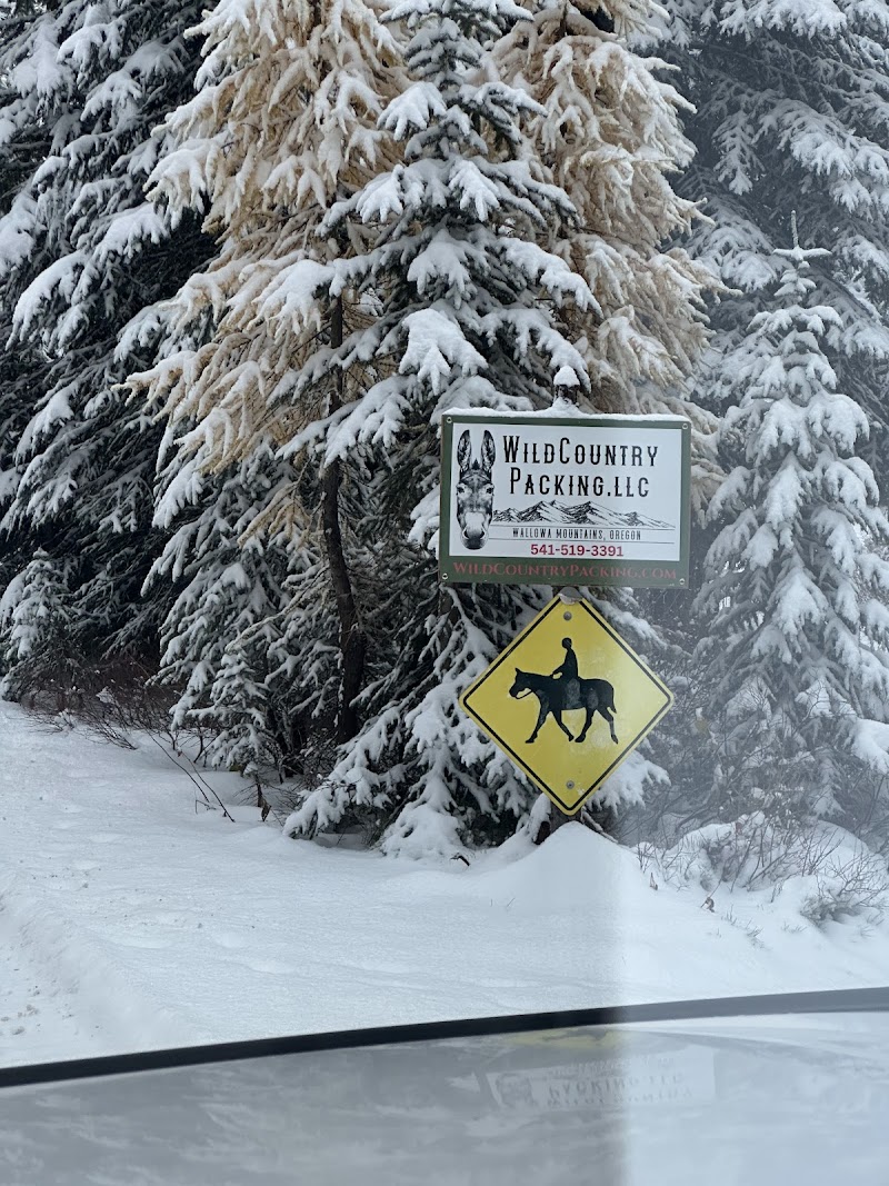 Moss Springs Campground（俄勒冈州）