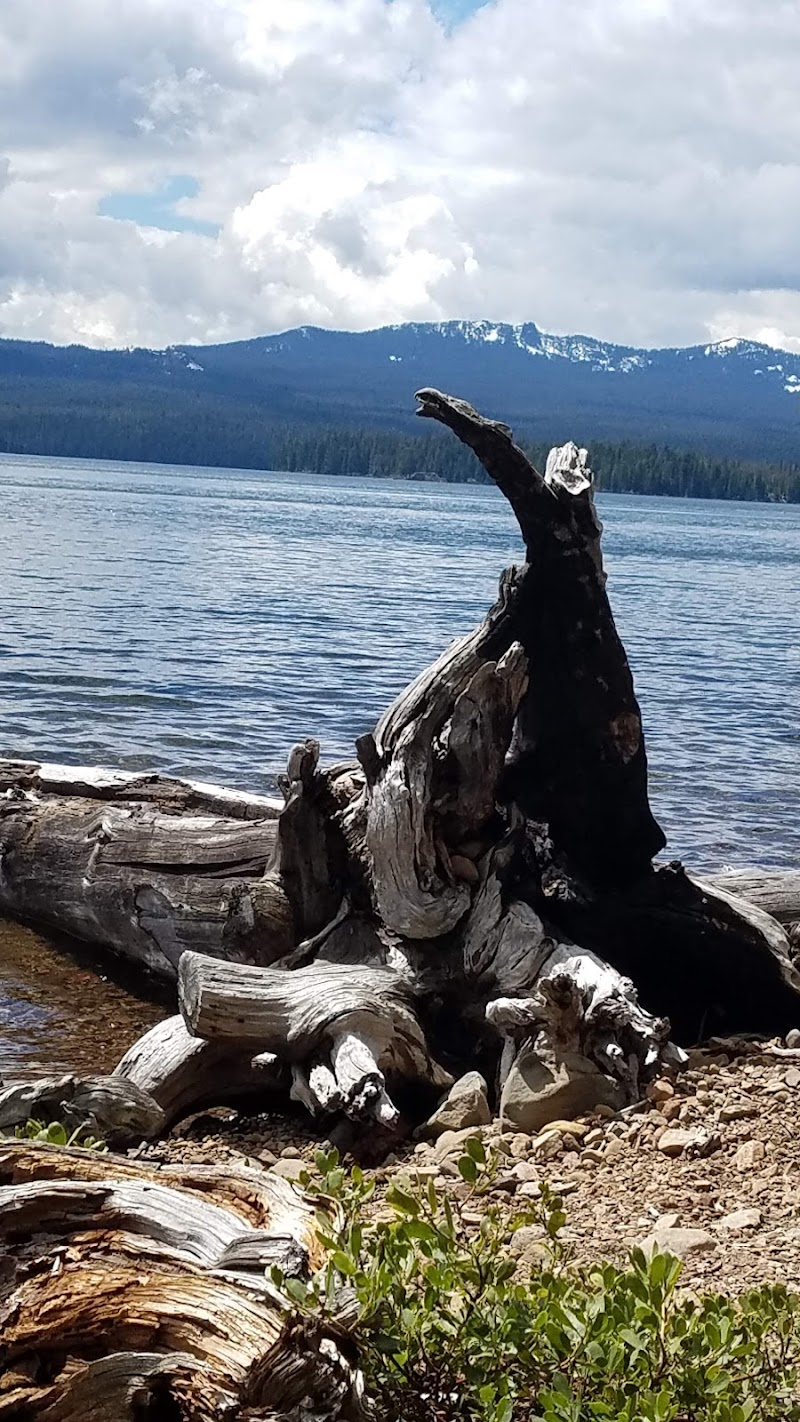 CULTUS LAKE CAMPGROUND