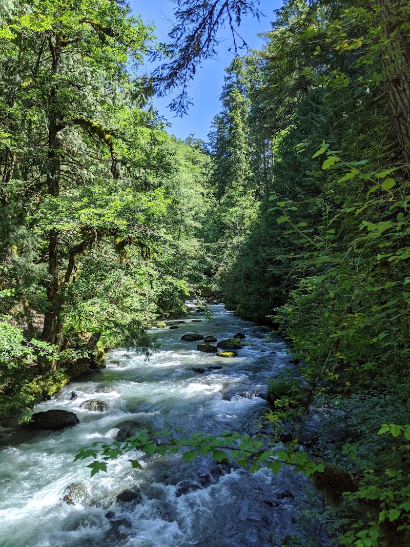 Dungeness Forks Campground