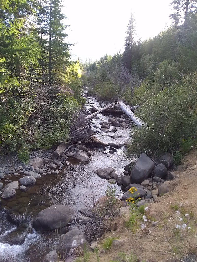 Lick Creek Campground（俄勒冈州）