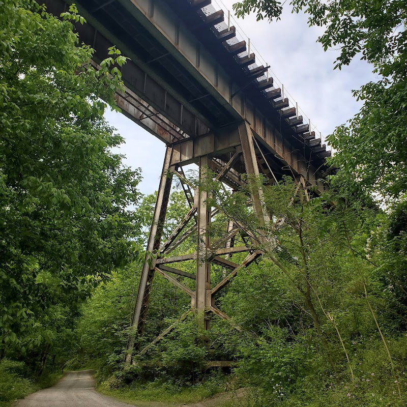 McCoy's Ferry Campground（马里兰州）