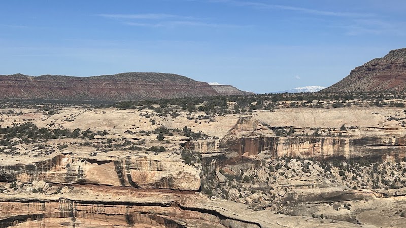 Natural Bridges Campground
