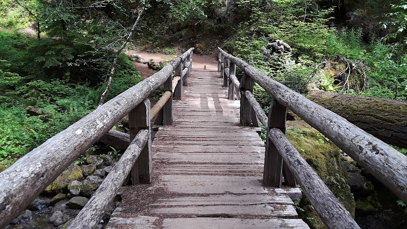 OHANAPECOSH GROUP CAMPGROUND（华盛顿州）