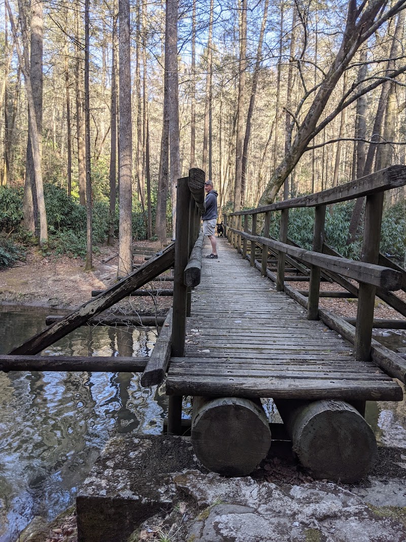 Paint Creek Campground（田纳西州）
