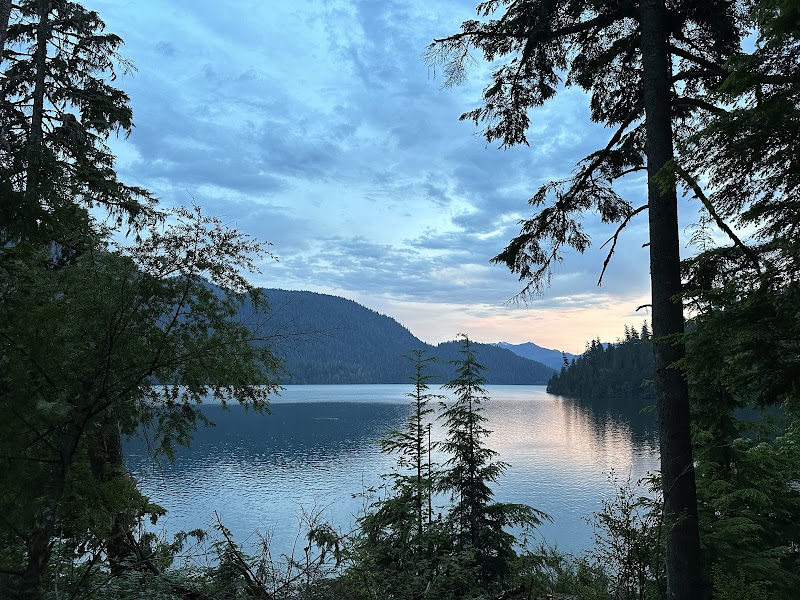 Shannon Creek Campground（华盛顿州）