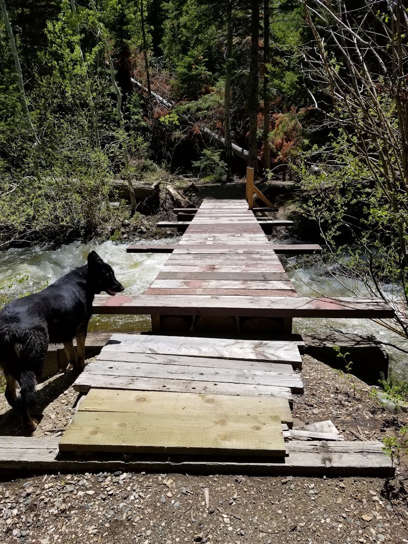 Pine Campground (WY)（怀俄明州）