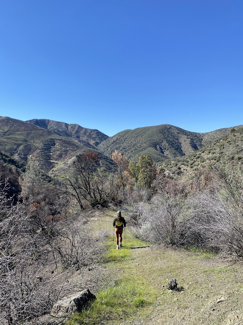 DAVY BROWN CAMPGROUND