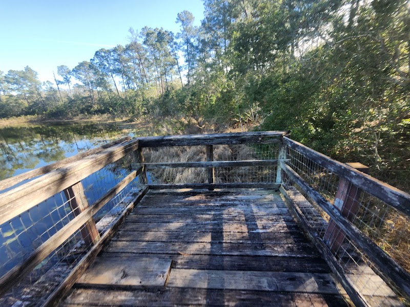 Fore Lake Campground（佛罗里达州）