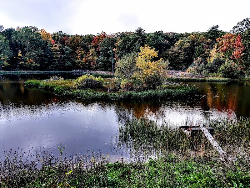 POTOMAC GROUP CAMPGROUND（纽约州）