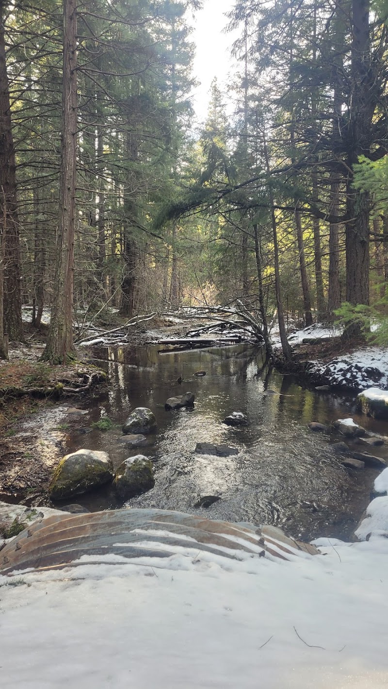FOURBIT FORD CAMPGROUND（俄勒冈州）