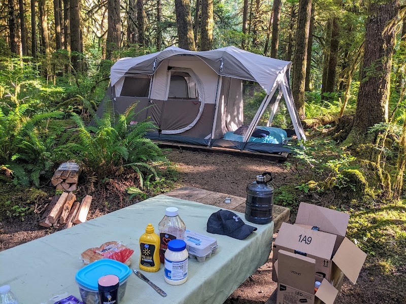 Gold Basin Campground（华盛顿州）