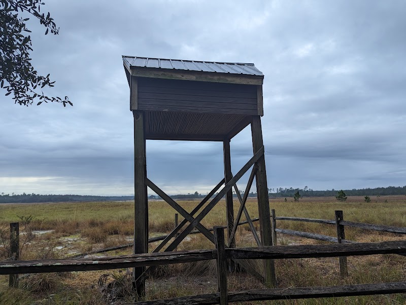 Hopkins Prairie Campground