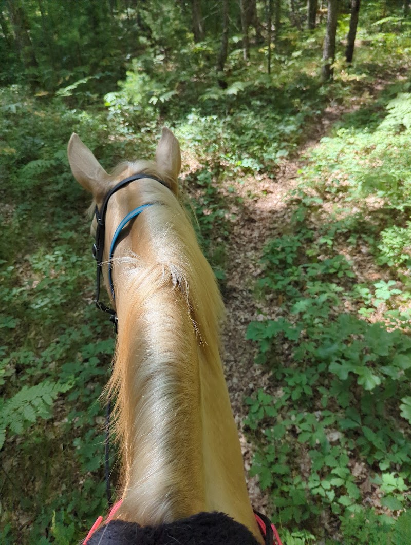 Marzinski Horse Campground
