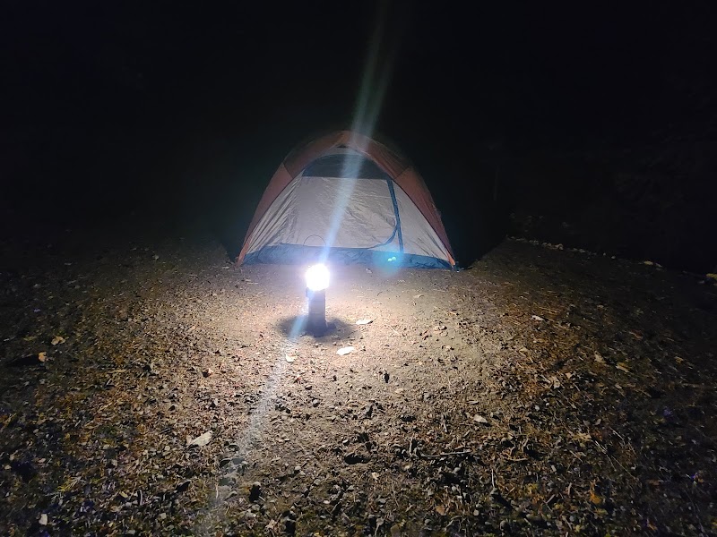 PATRICK CREEK CAMPGROUND（加利福尼亚州）