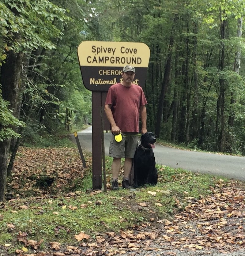 Spivey Cove Campground