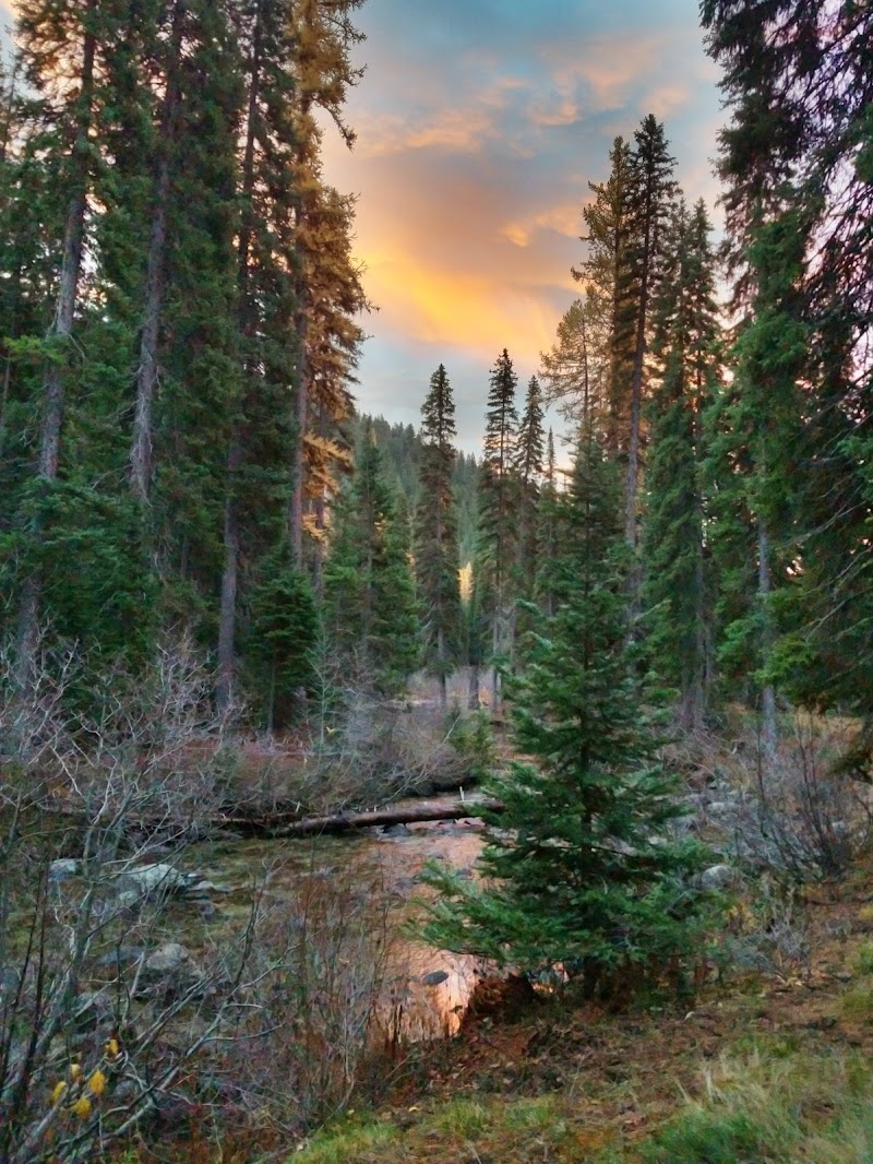 Two Color Campground（俄勒冈州）